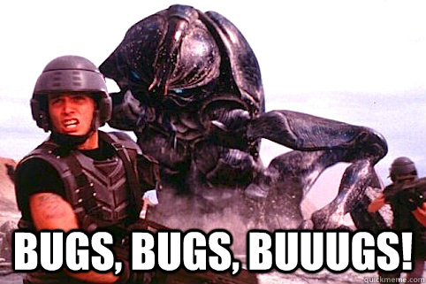 1hkhhgo7ax_meme_bugs_1.jpg